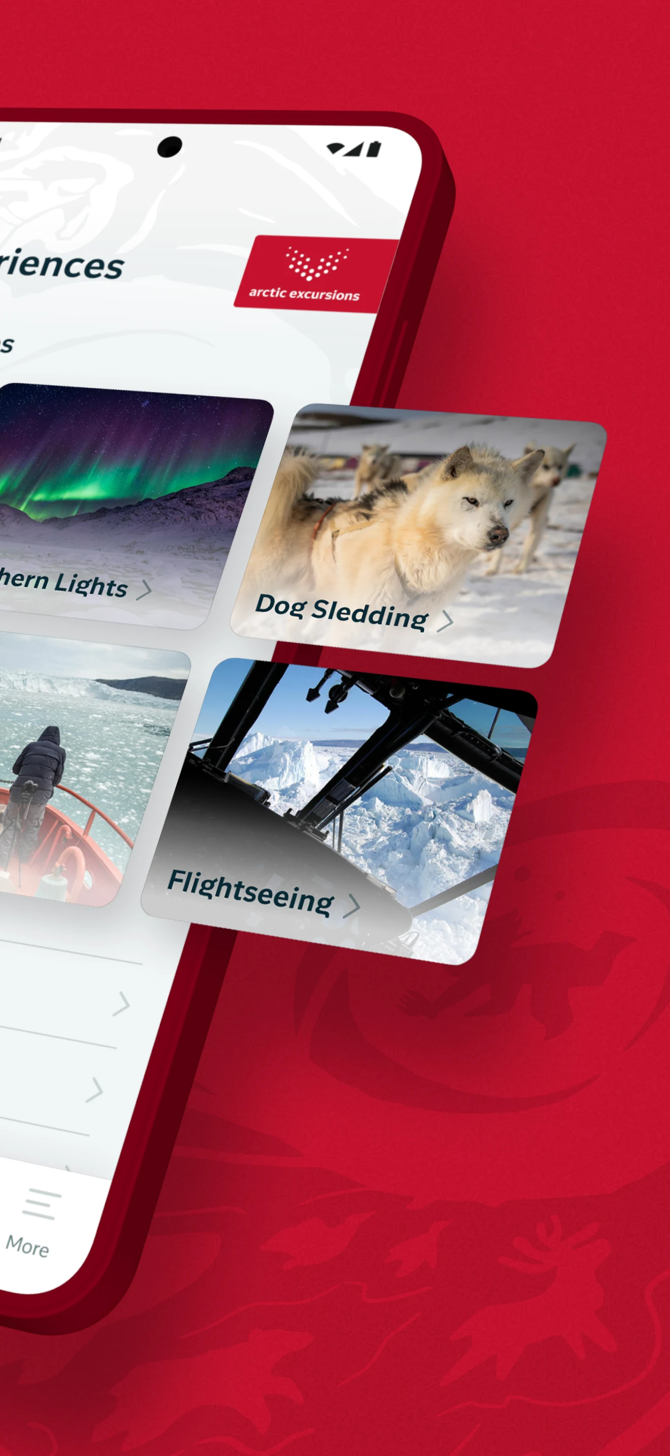 Air Greenland screenshot
